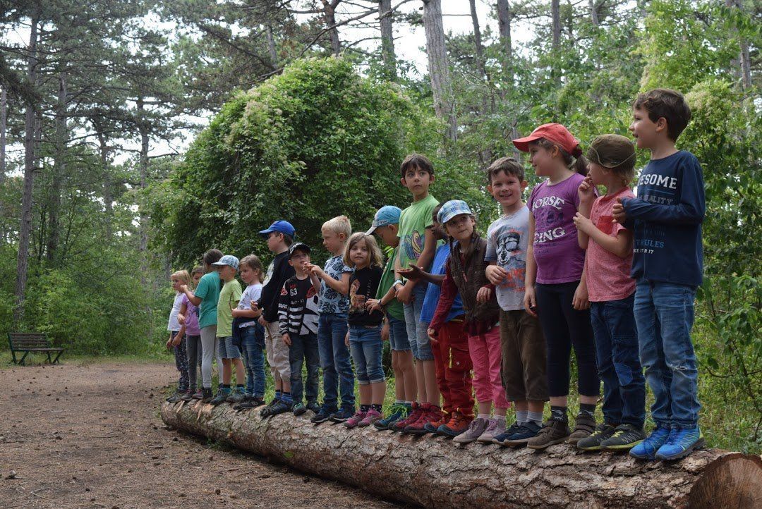 Gruppenfoto Science Class Niederösterreich – naturwissenschaftliches Lernen mit Natur plus