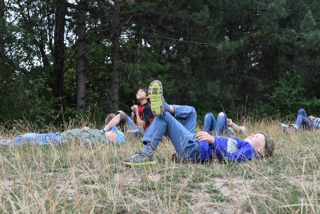 Susanne Pichler-Vock bei einer Waldbeobachtung – Natur plus Bad Vöslau