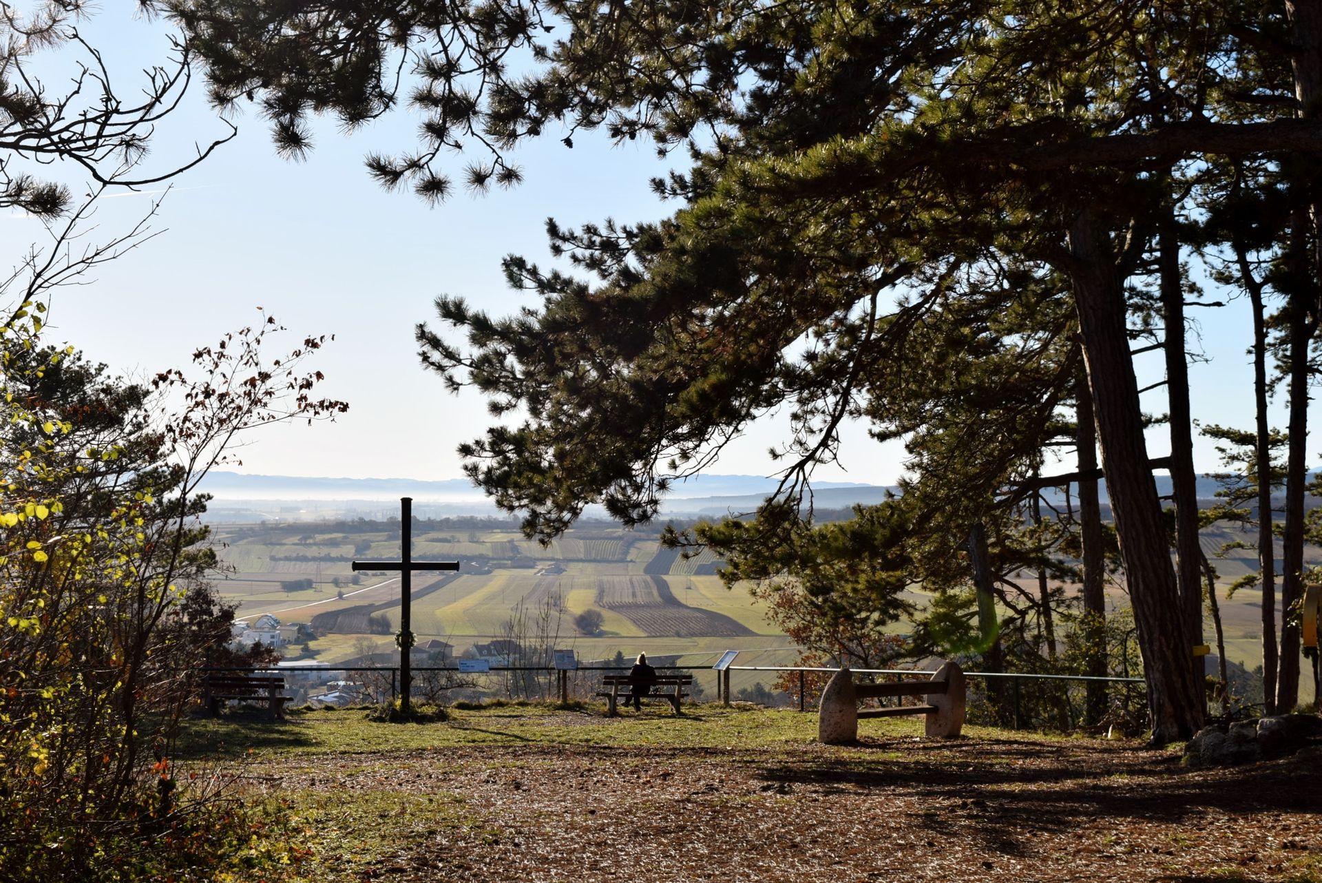 Schulgruppen erleben Natur und Kultur bei Waldführung Harzberg, ca. 3 h Wanderung Natur plus
