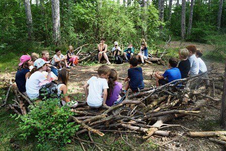 Ferienbetreuung, Sommerferien, Sommer, Wald, Bezirk Baden, Bad Vöslau, Schulkinder, Wissen, Waldpädagogik, outdoor, Wald