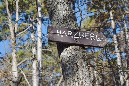 Harzberg, Bad Vöslau, Führung
