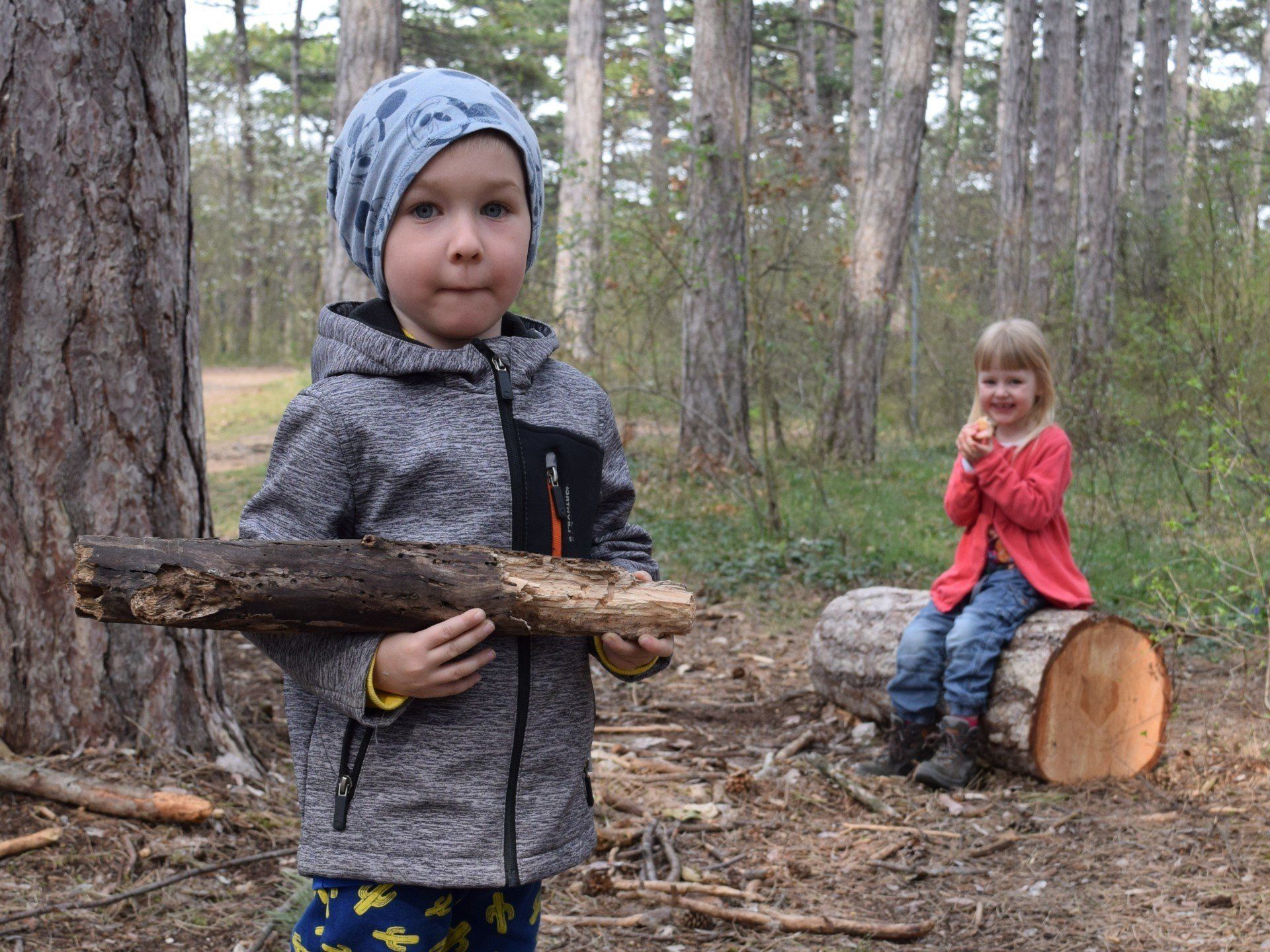 Wald Gruppe Kinder Nachmittag