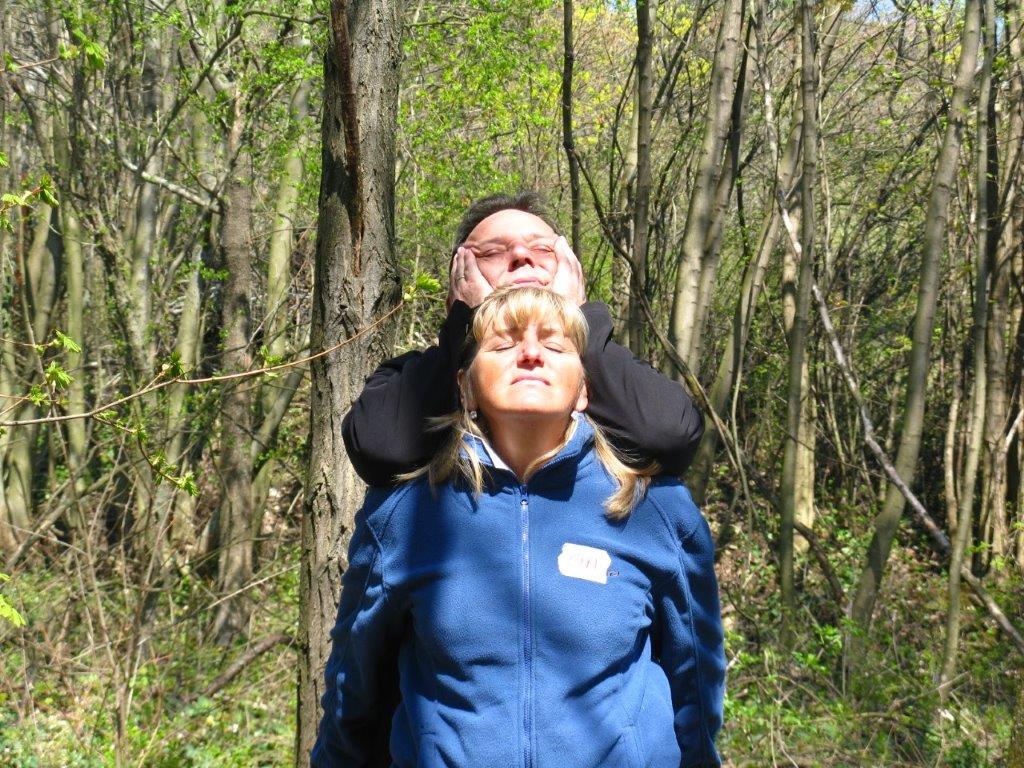 Erwachsene entspannen sich bei einer geführten Meditation im Wald