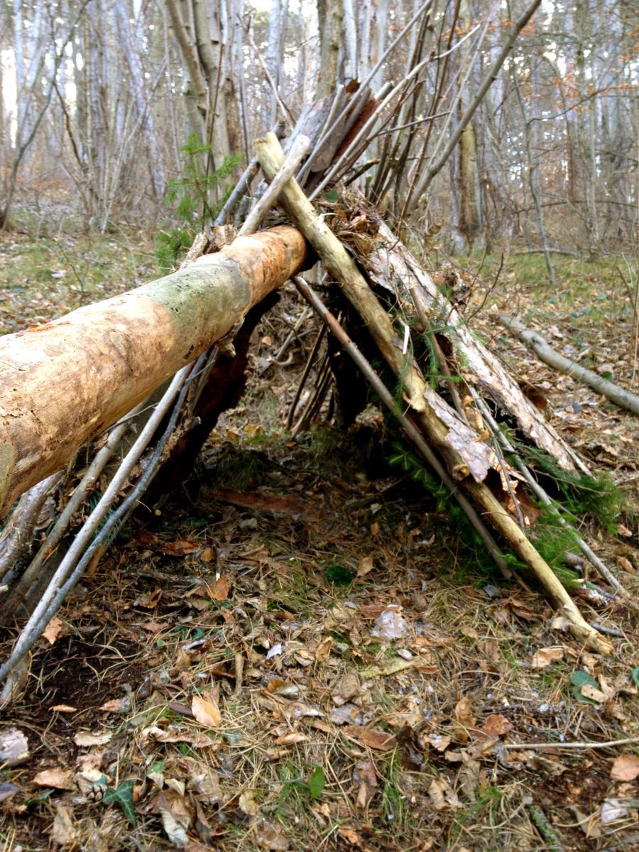 ruppe baut gemeinsam ein Lager im Wald – Robin Hood-Woche für Kinder