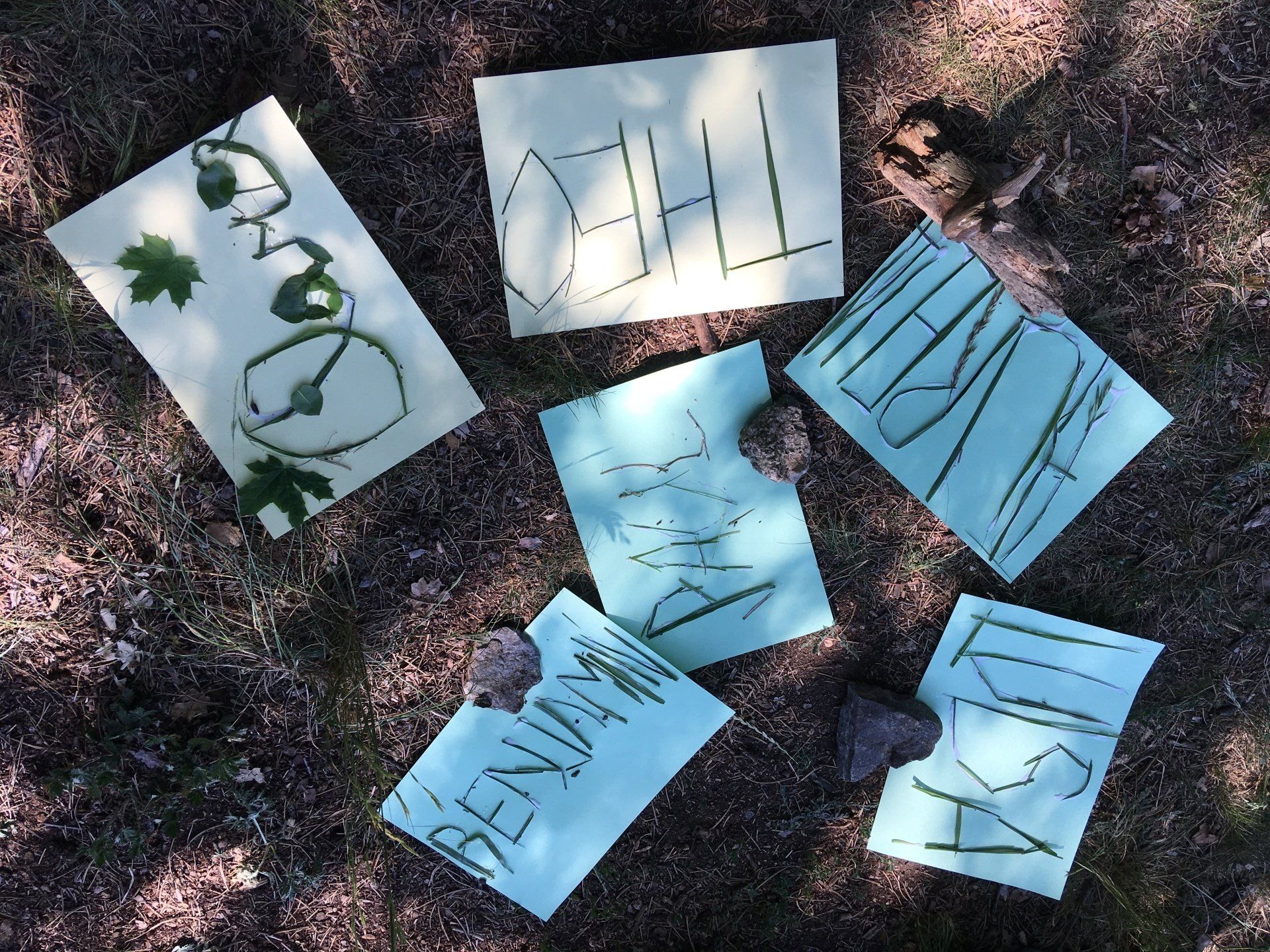 Basteln mit Naturmaterialien – Kreative Aktivitäten in der Waldgruppe kids