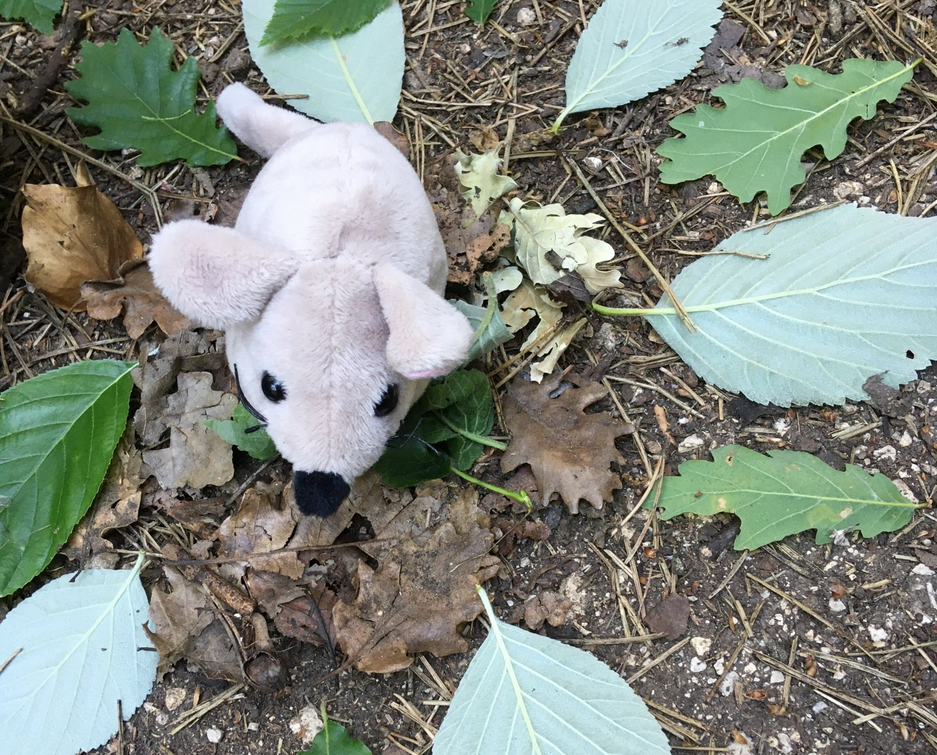 Waldmaus als liebevolle Begleiterin in der Naturgruppe für Kinder ab 1,5 Jahren
