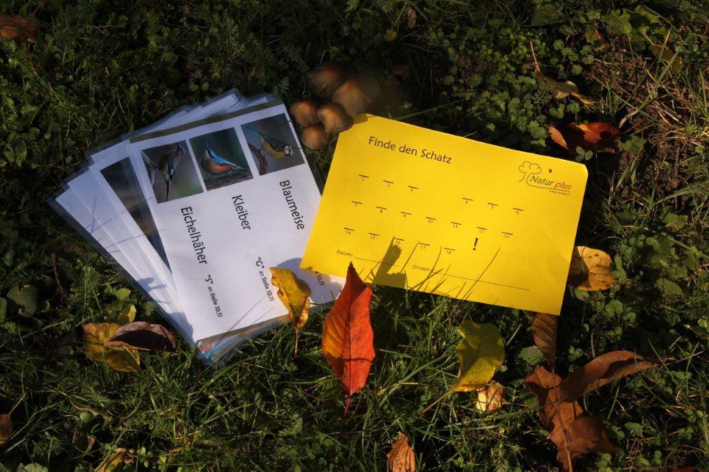 Rätselrallye im Wald