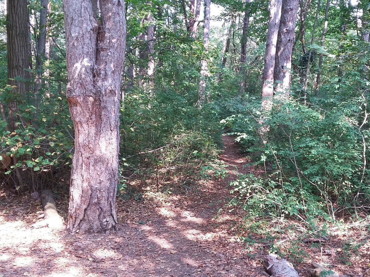 Baden, Bad Vöslau, Bad Fischau, Wr. Neustadt, Maria Enzersdorf, Hirtenberg, Berndorf, Mödling, Eisenstadt, Felixdorf