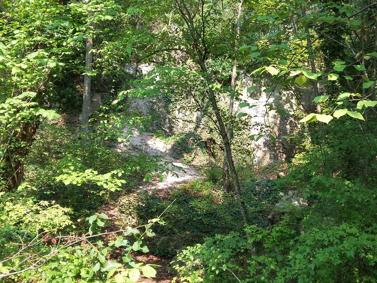 Baden, Bad Vöslau, Bad Fischau, Wr. Neustadt, Maria Enzersdorf, Hirtenberg, Berndorf, Mödling, Eisenstadt, Felixdorf