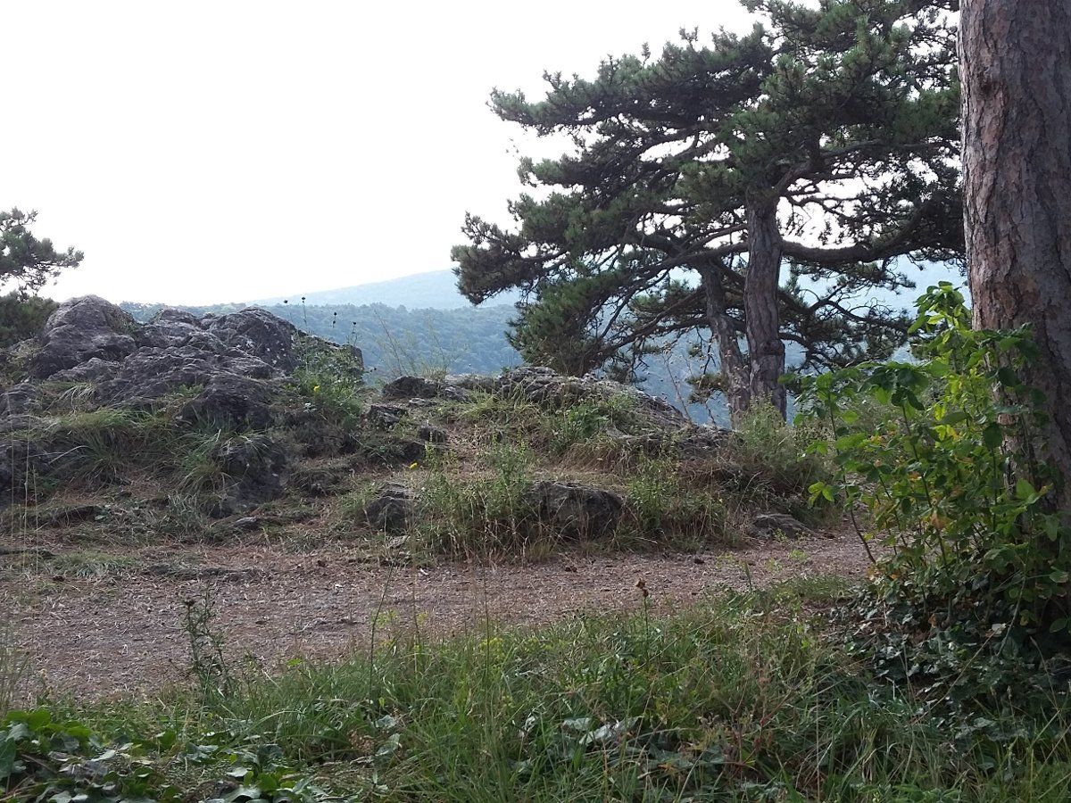 Baden, Bad Vöslau, Bad Fischau, Wr. Neustadt, Maria Enzersdorf, Hirtenberg, Berndorf, Mödling, Eisenstadt, Felixdorf