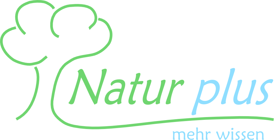 Astronomie, Sternenuhr, Schule