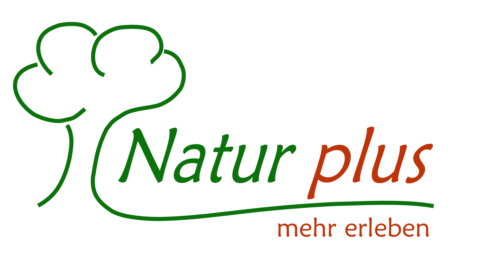 Natur plus, Waldpädagogik, Schule, Kindergarten, Familie, Kleinkind, Kurse, Natur, Wald