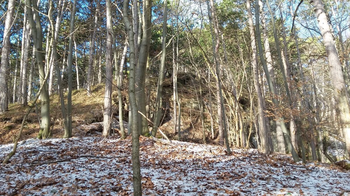 Baden, Bad Vöslau, Bad Fischau, Wr. Neustadt, Maria Enzersdorf, Hirtenberg, Berndorf, Mödling, Eisenstadt, Felixdorf