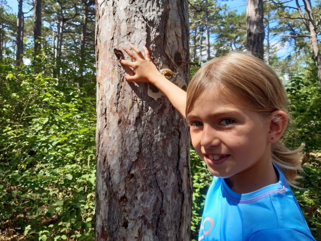 Sommerwoche im Wald mit Sprache, Spiel und Spaß bei Natur plus