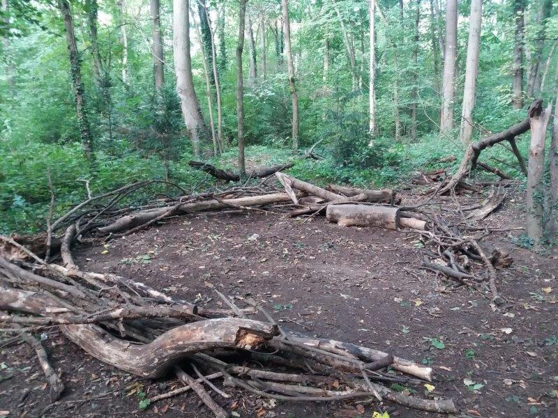 Baden, Bad Vöslau, Bad Fischau, Wr. Neustadt, Maria Enzersdorf, Hirtenberg, Berndorf, Mödling, Eisenstadt, Felixdorf