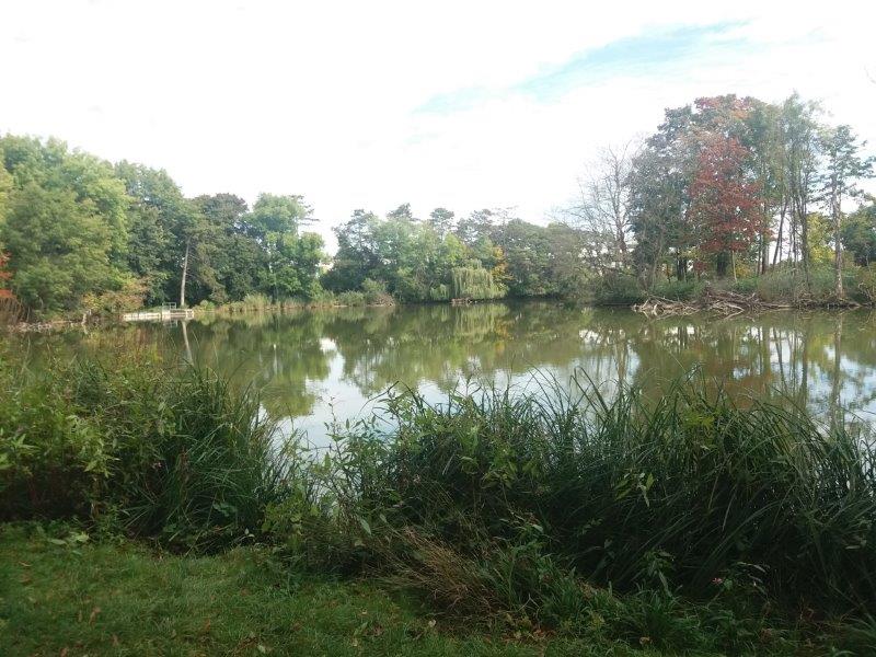 Waldpädagogische Führung Mödling Wien