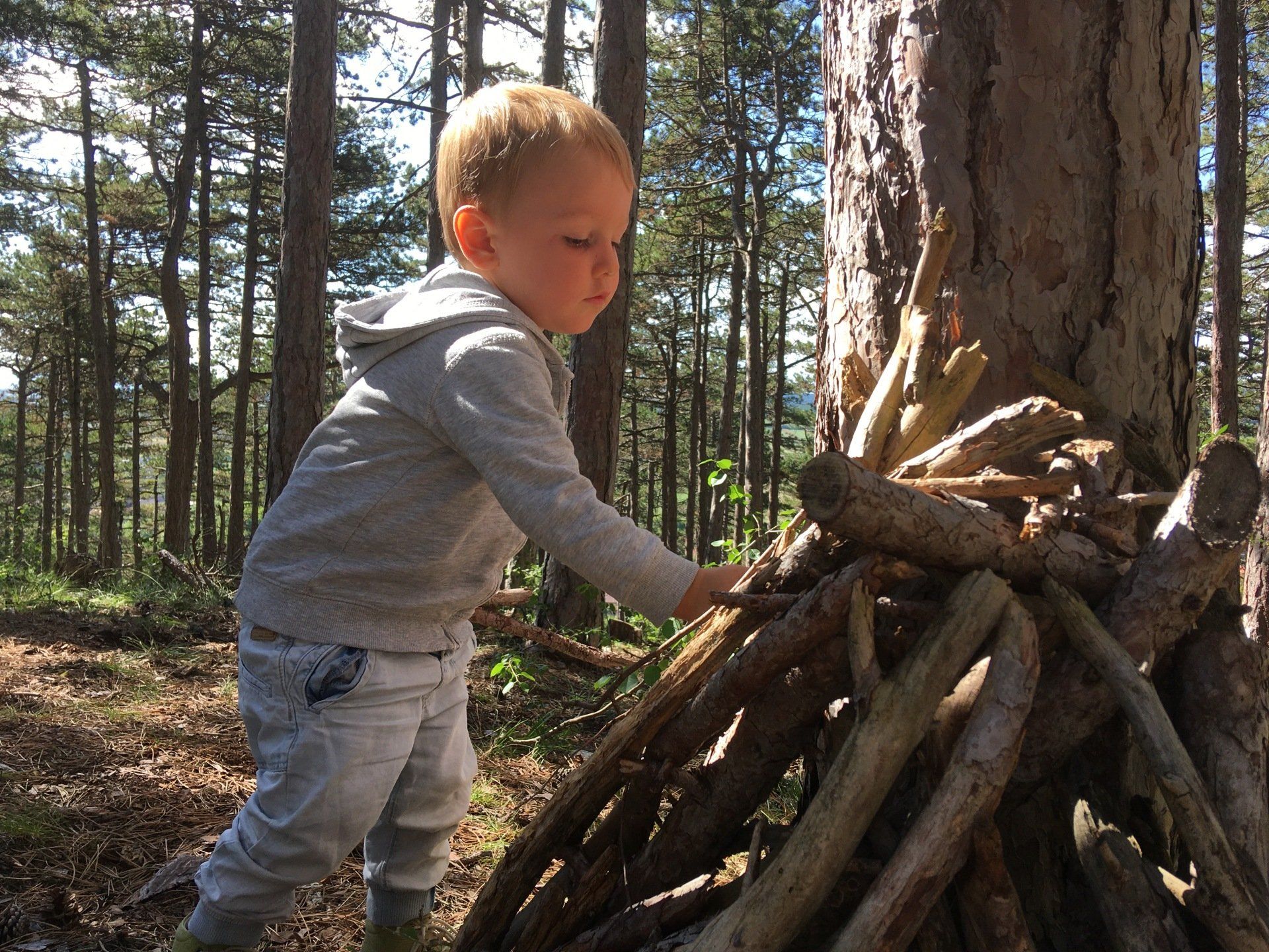 Waldspielgruppe für Kinder von 1,5 bis 4 Jahren bei Natur plus