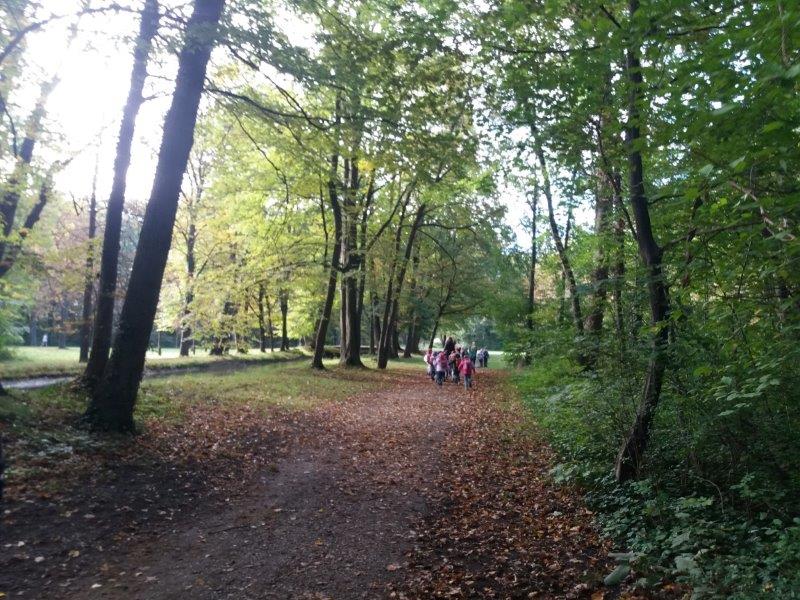 Baden, Bad Vöslau, Bad Fischau, Wr. Neustadt, Maria Enzersdorf, Hirtenberg, Berndorf, Mödling, Eisenstadt, Felixdorf