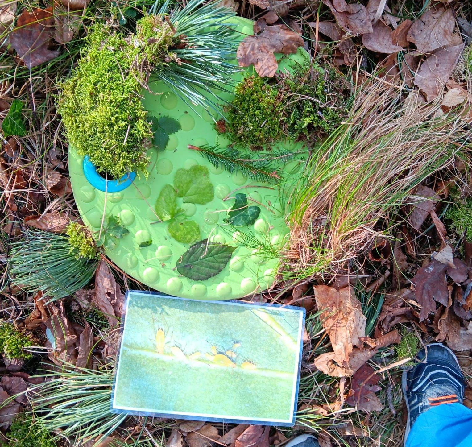 Ferienbetreuung, Ostern, Indianer, Robin Hood, Steinzeit, Mittelalter, Waldpädagogik, Wissen, Spaß, Bad Vöslau, Bezirk Baden