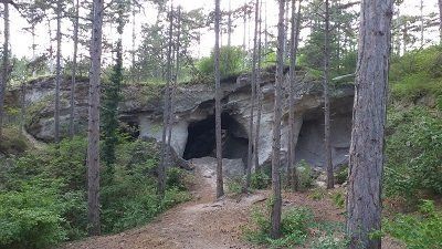 Kinder entdecken versteckte Höhlen im Wald – Waldführung Harzberg für Schulklassen
