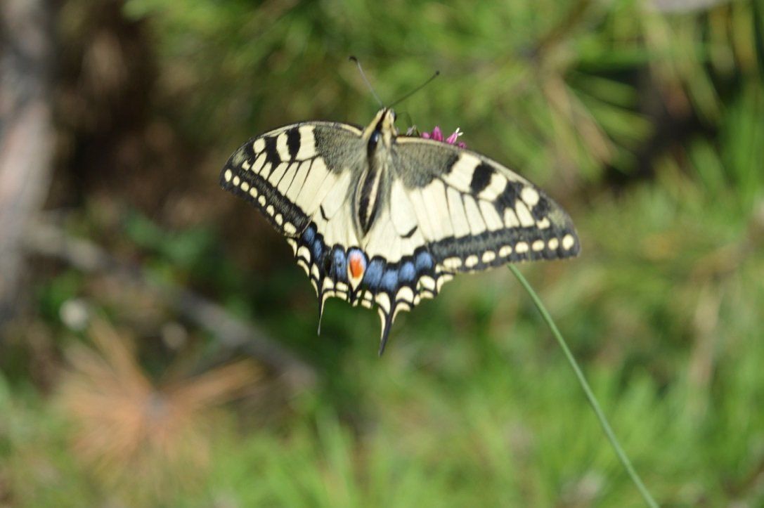Lehrausgang, Ausflug, schule, Erlebnis klasse, outdoor