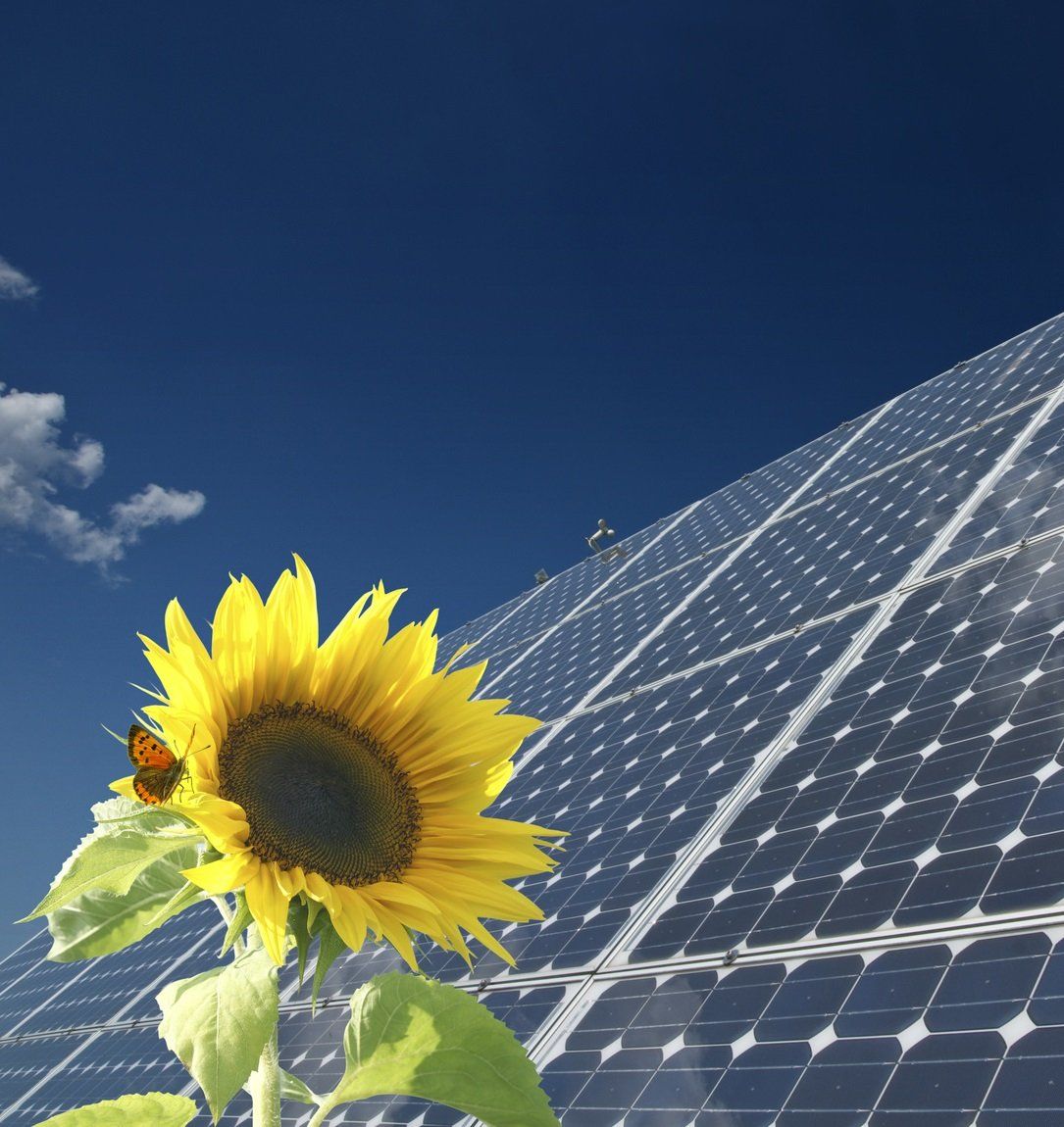 PVKLAR Photovoltaikreinigung Solarreinigung Photovoltaik Reinigung PVKLAR Photovoltaikreinigung Solarreinigung PV Photovoltaik Reinigung
