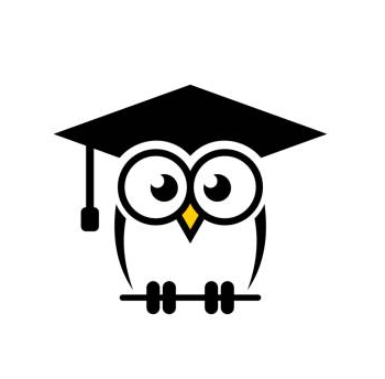 wise owl