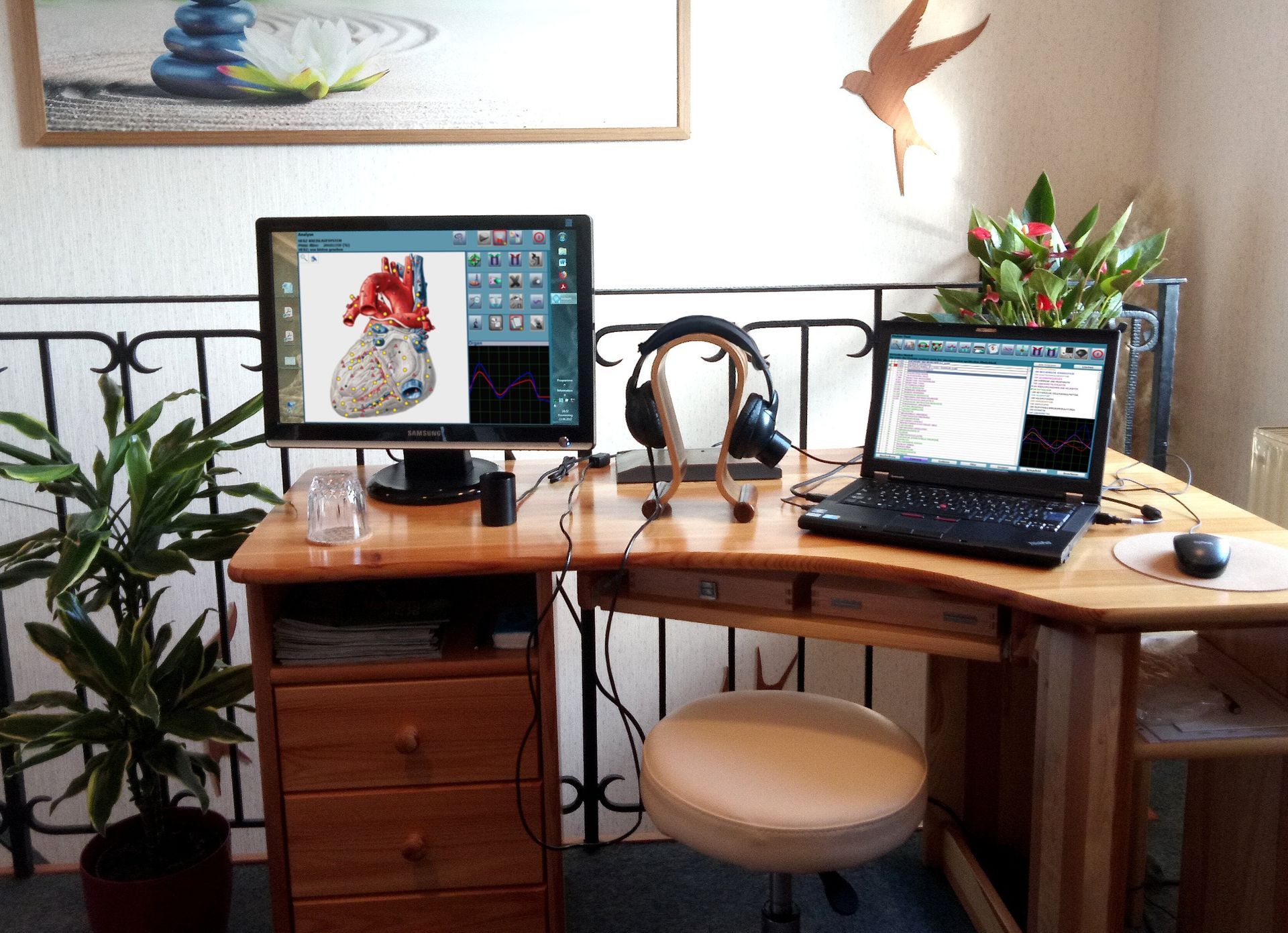 Bioresonanz in Pottendorf Oberon Gerät