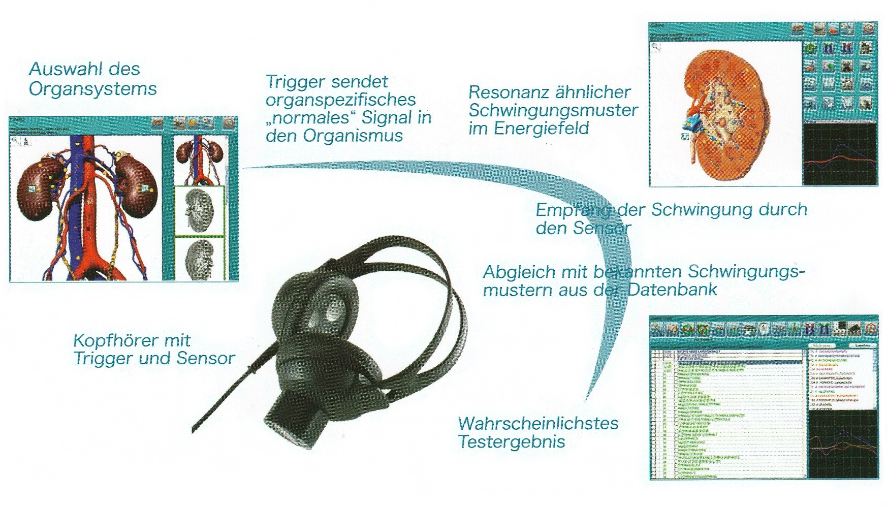 Metavital Oberon Messung Pottendorf