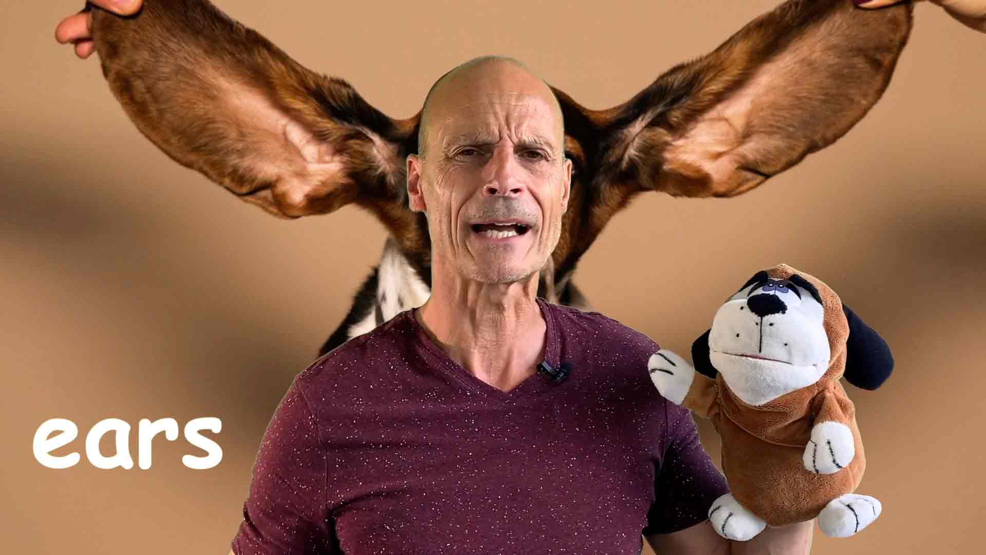 Spielerisch Englisch lernen mit Kilingi