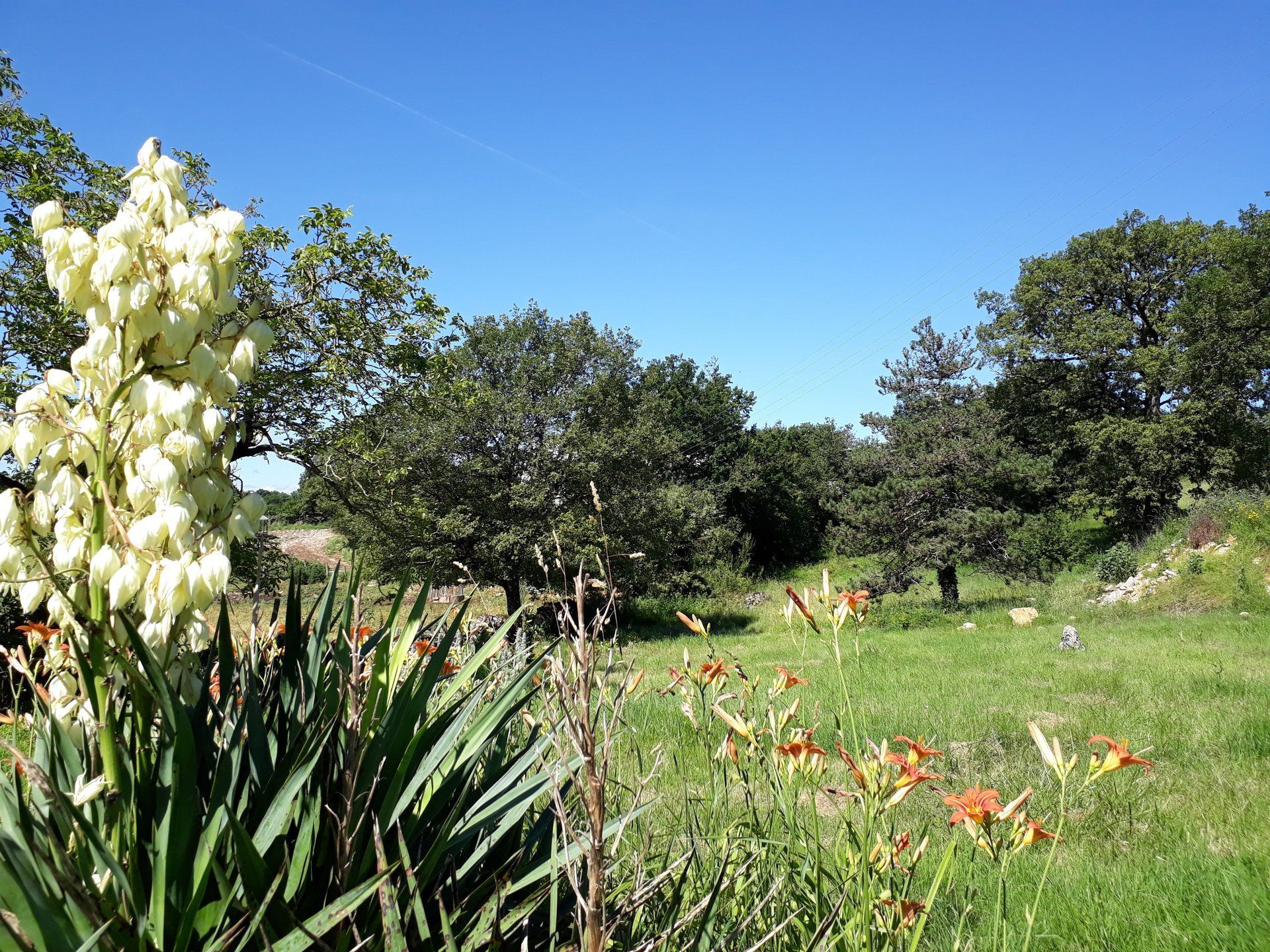 Clos du Trep, parc de plus d'un hectare