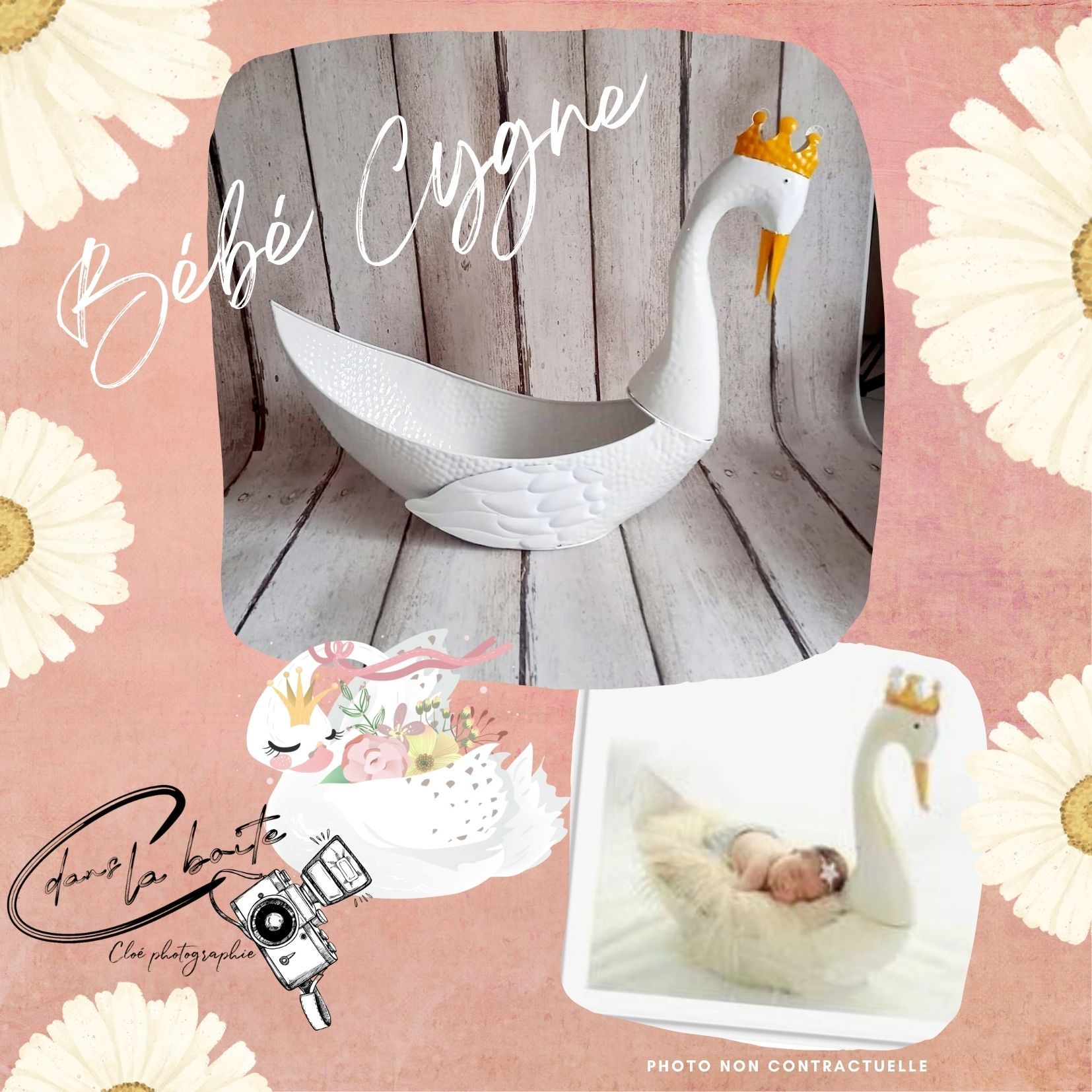 Photographe Royan C dans la boite /Photographe famille