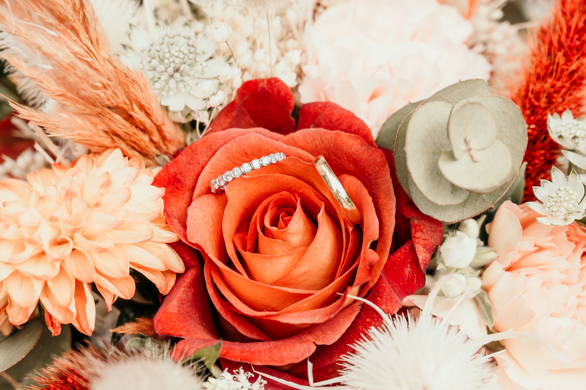 Photographe Royan C dans la boite /Photographe famille