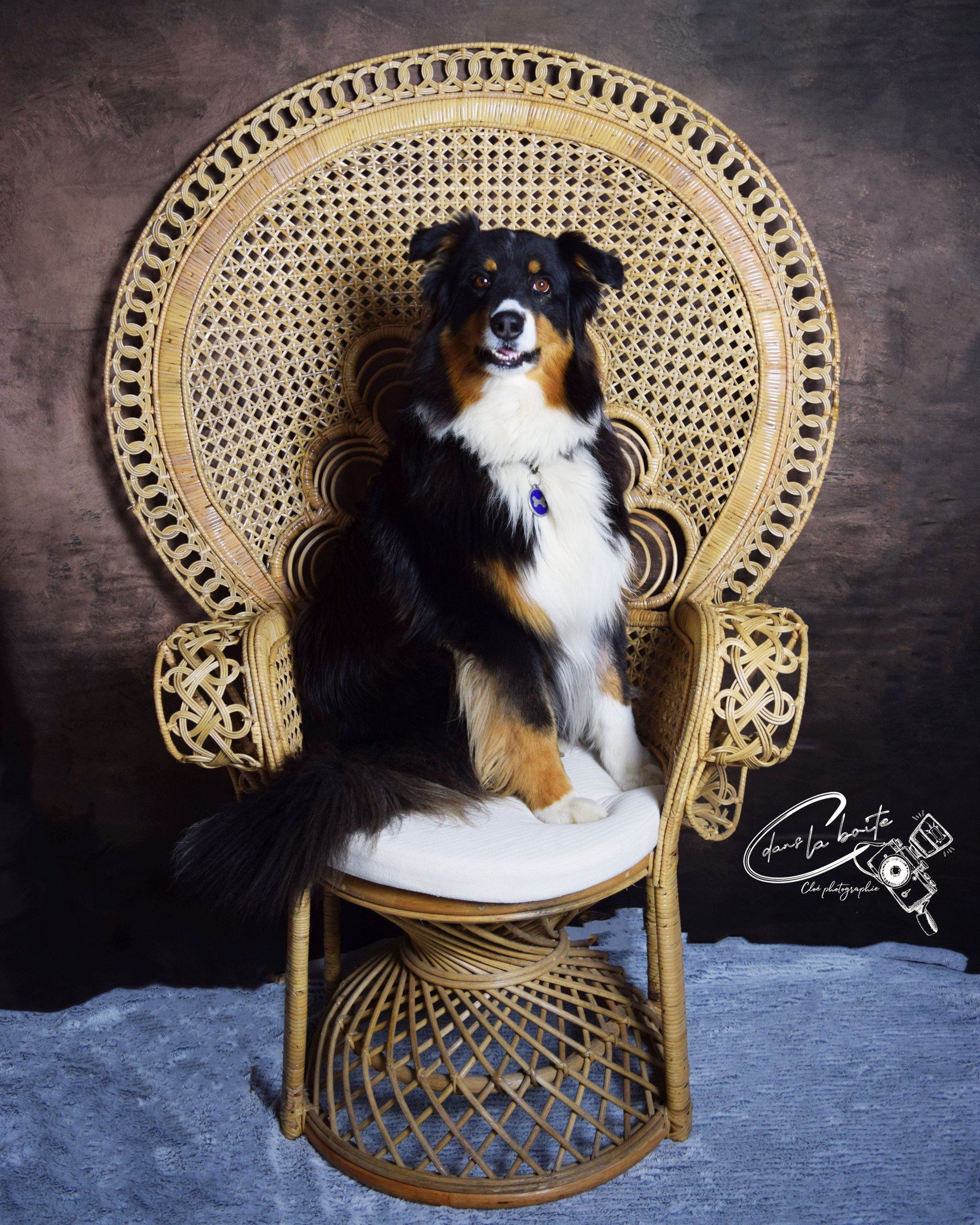 Photographe portraitiste - photo de famille, shooting couple, shooting solo à Royan Charente-Maritime.