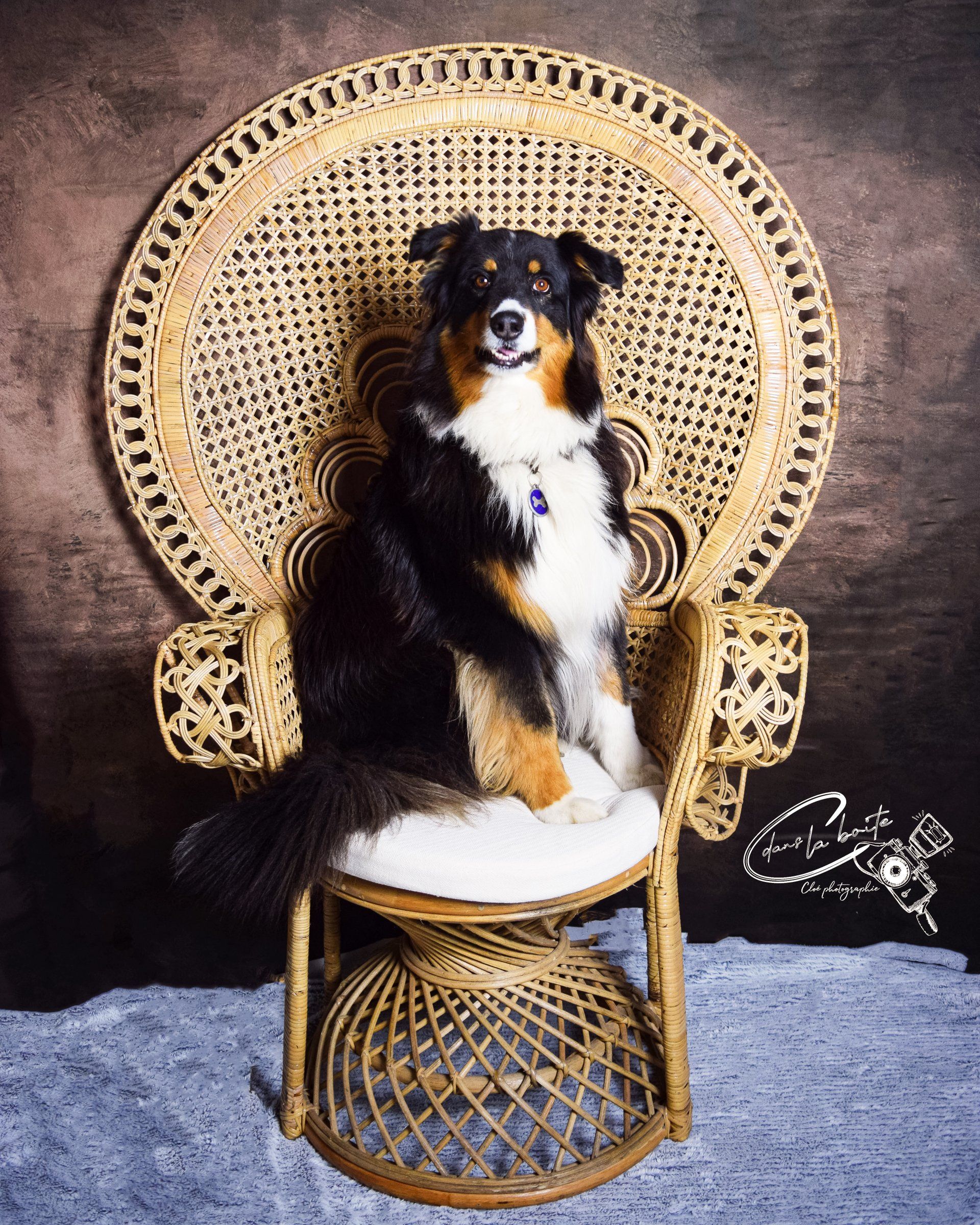 photographe charente maritime