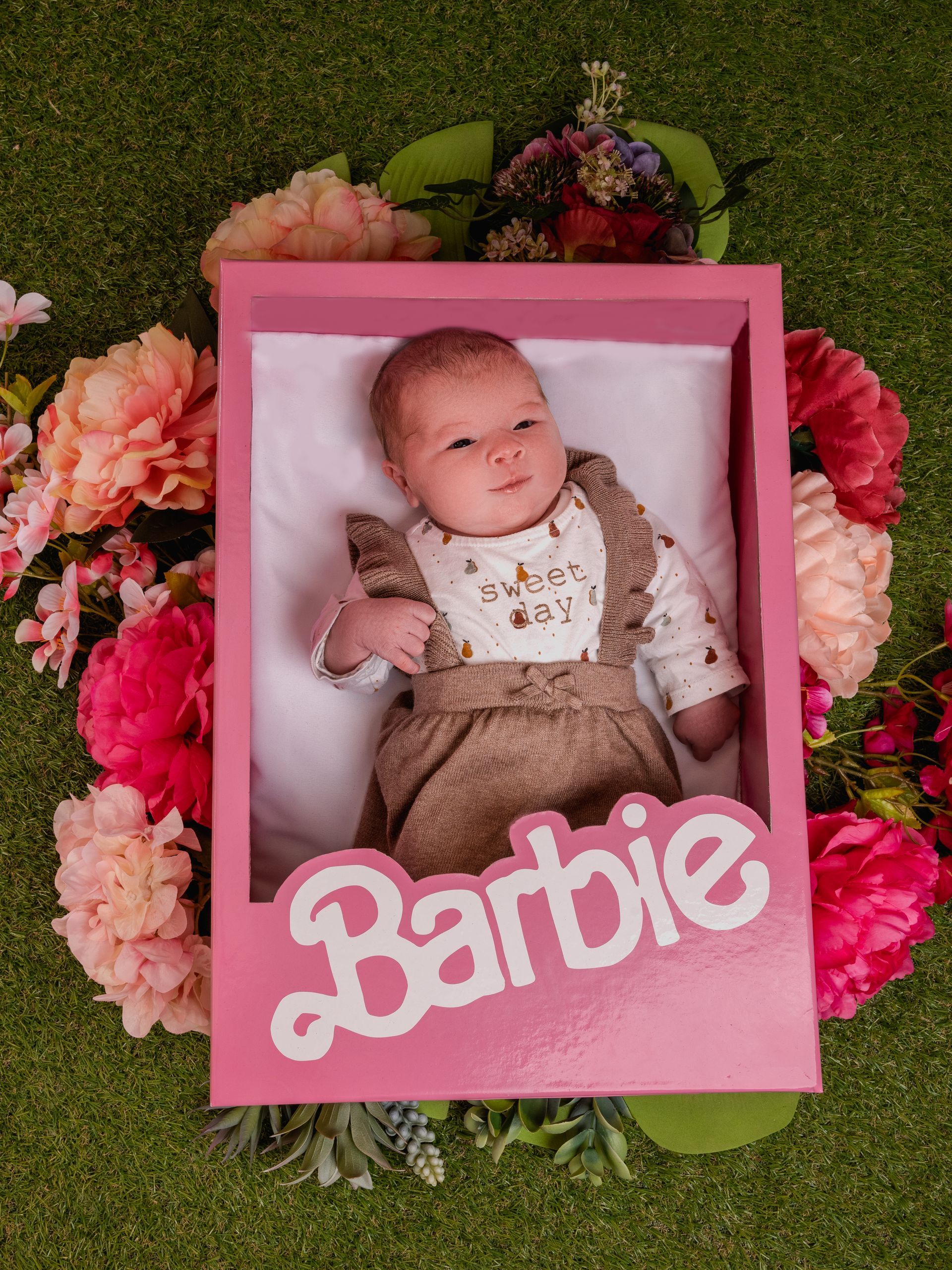 Photographe Royan C dans la boite /Photographe famille