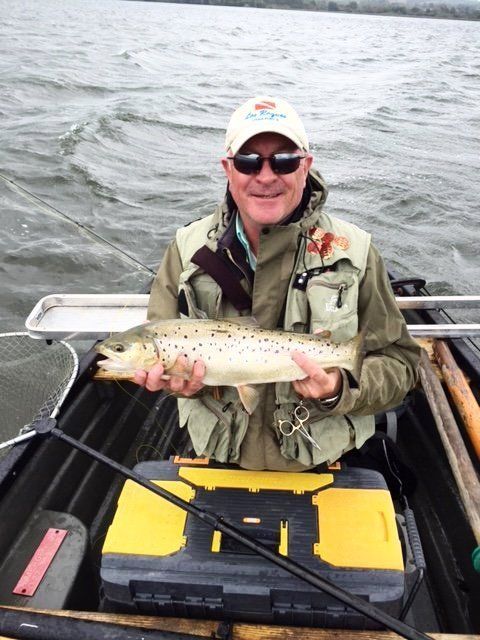 Big Brown Trout from Chew Lake