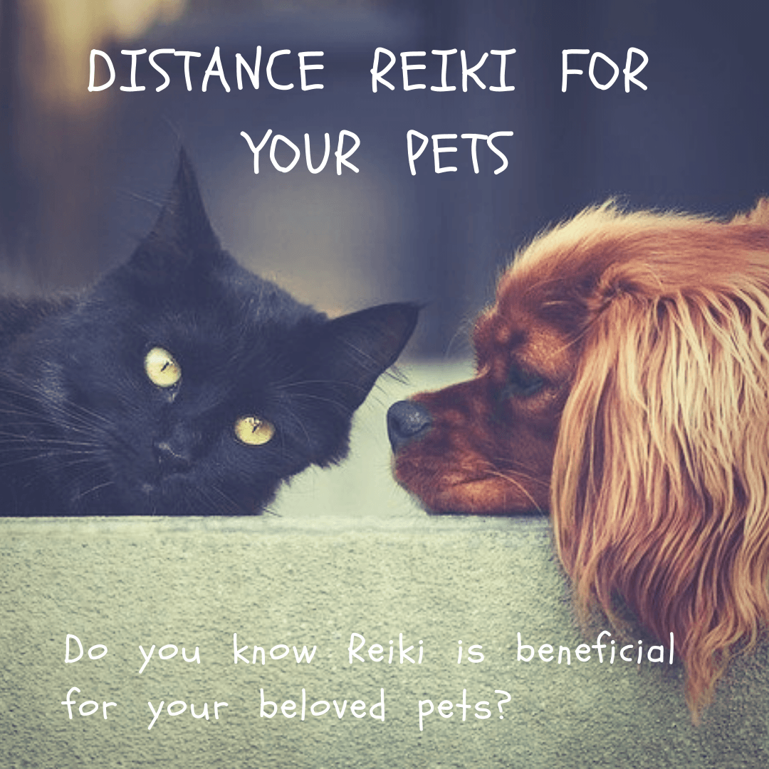 distance Reiki for your pets