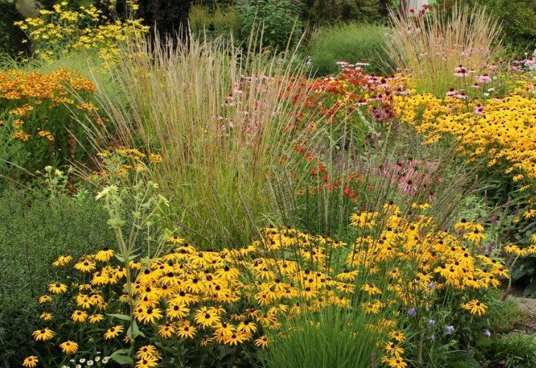 Quelle: http://mein-garten-lebt.blogspot.com/2017/09/sommerblumenwiese.html