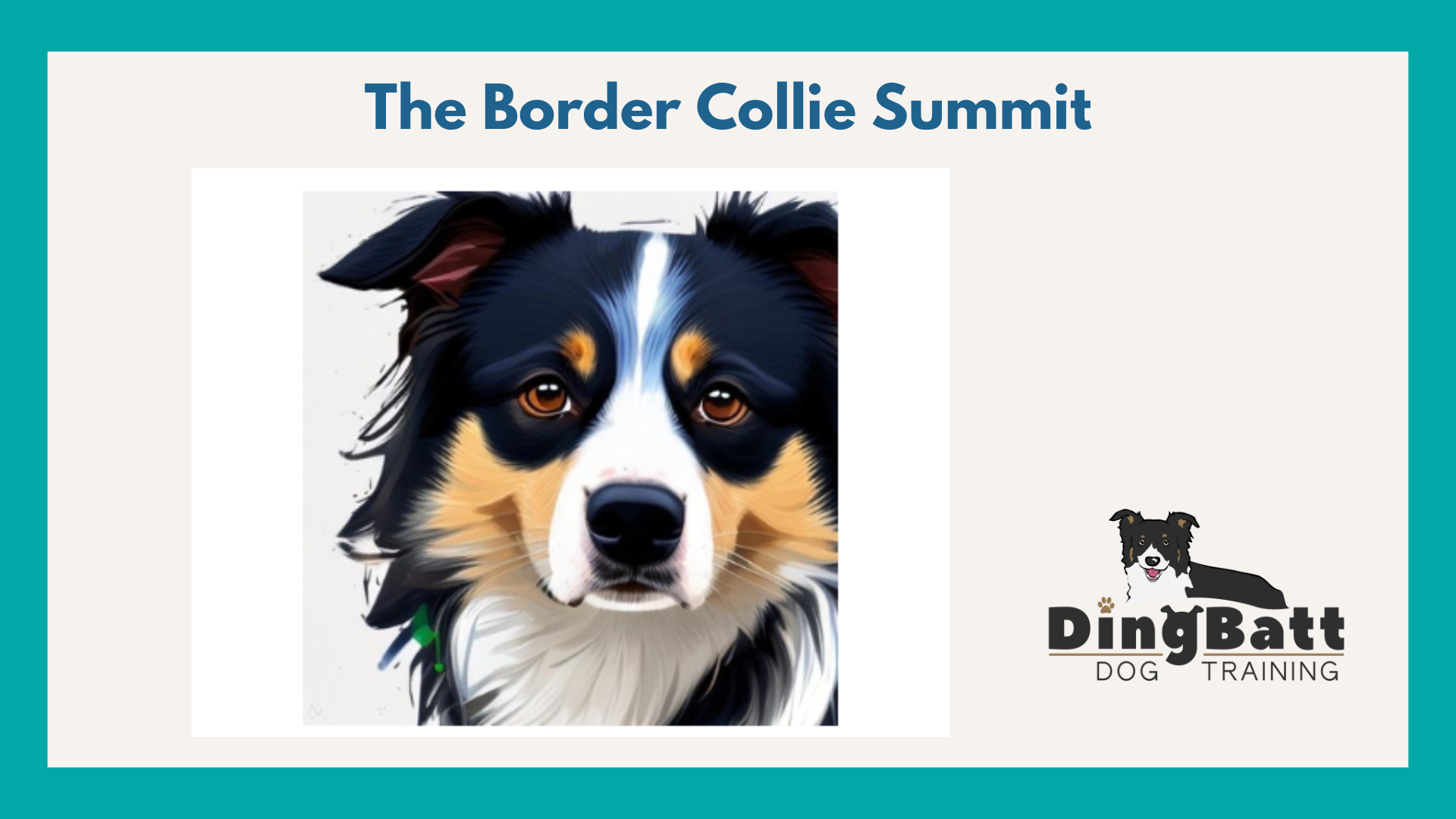 border collie training