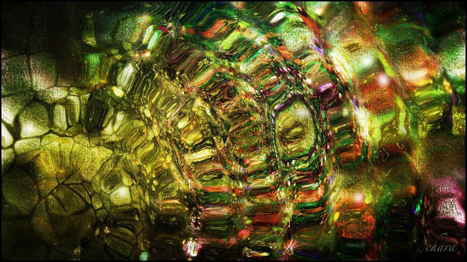 chara peinture digitale