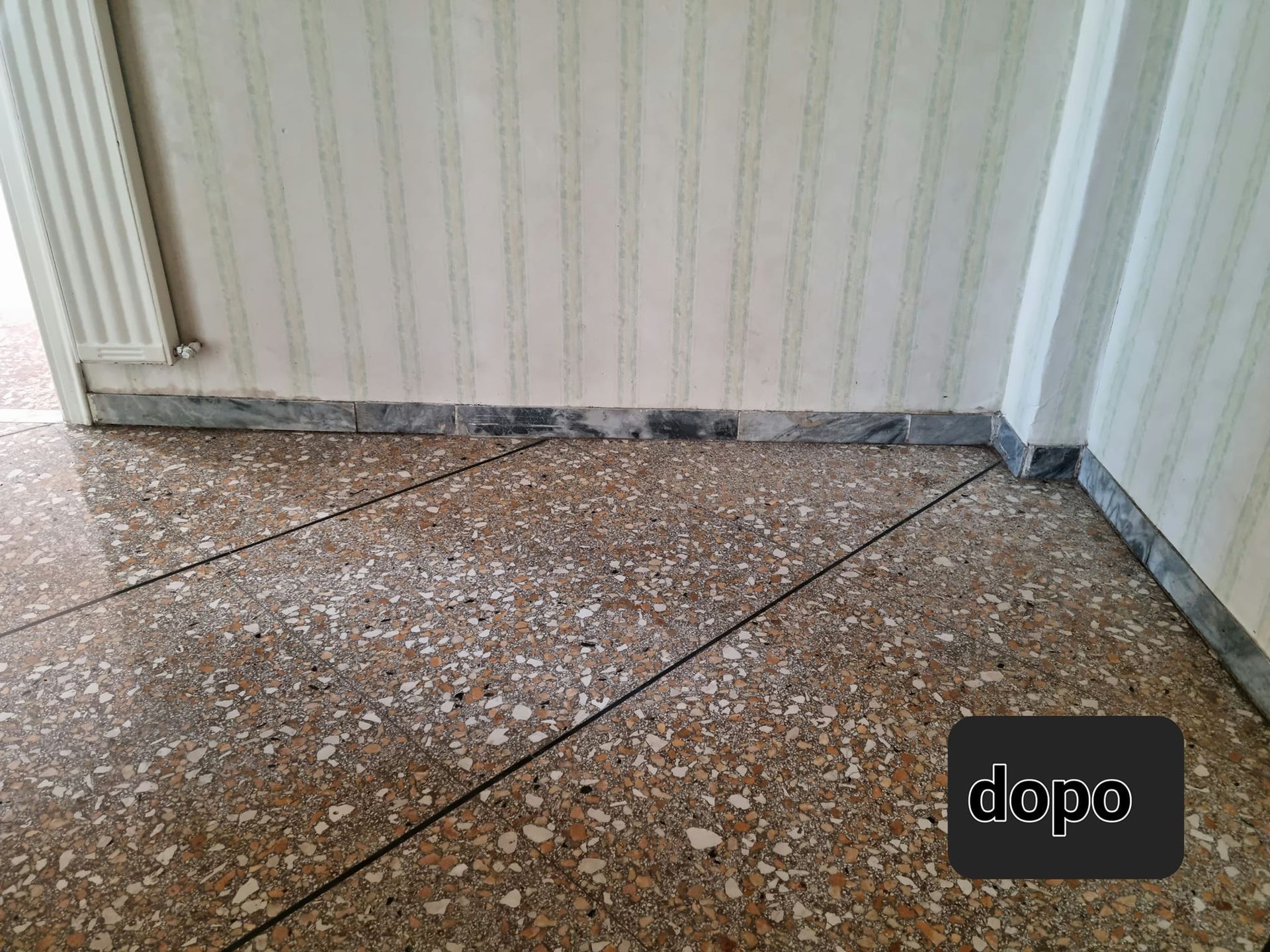 pulizie guano piccioni roma