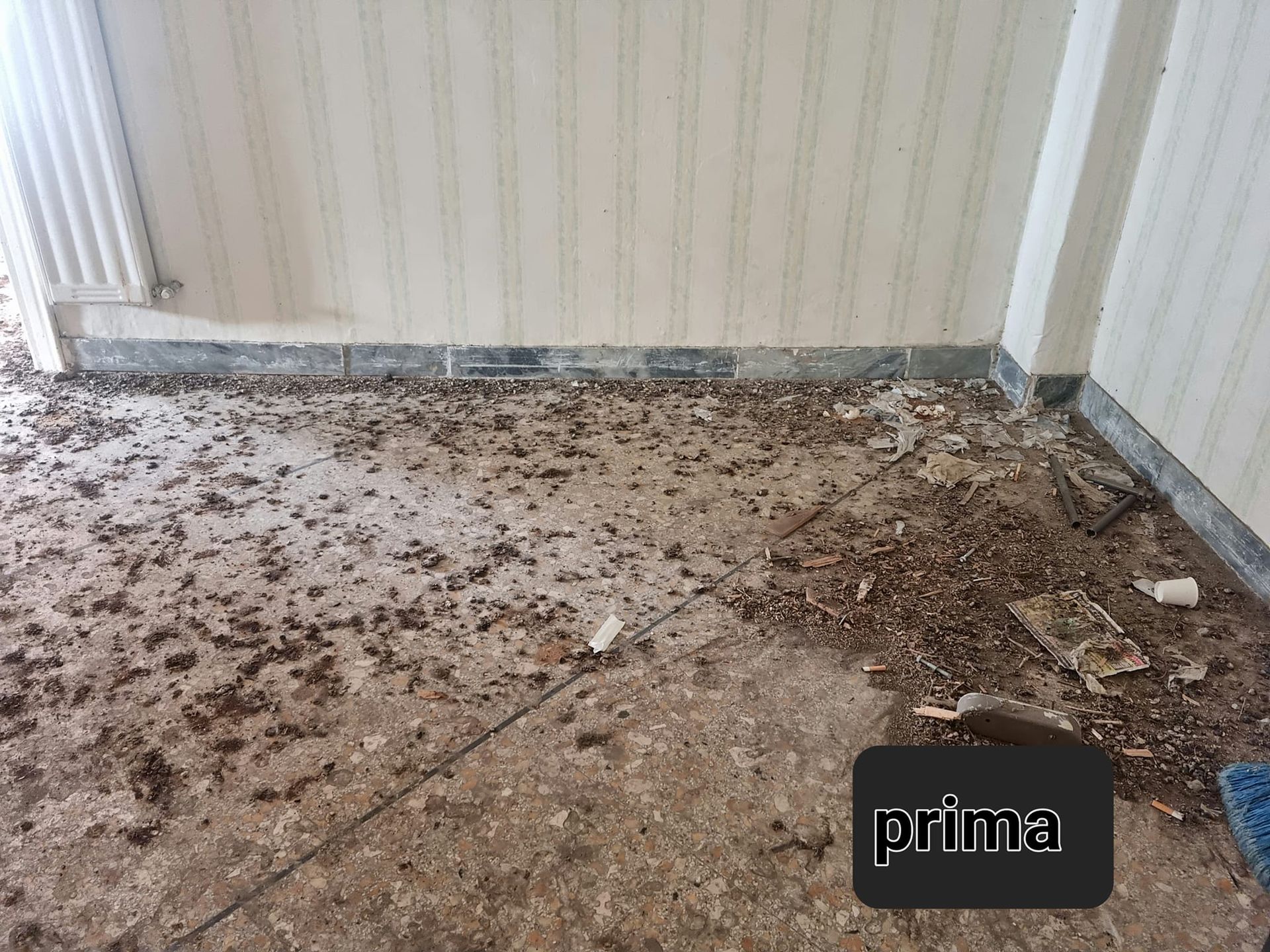 Pulizie guano piccioni
