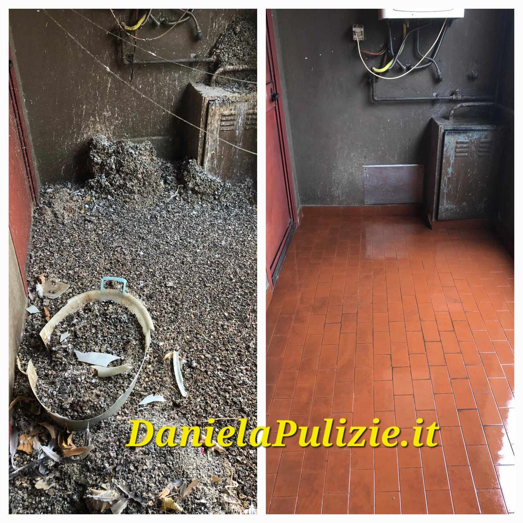 pulizia guano piccioni Roma