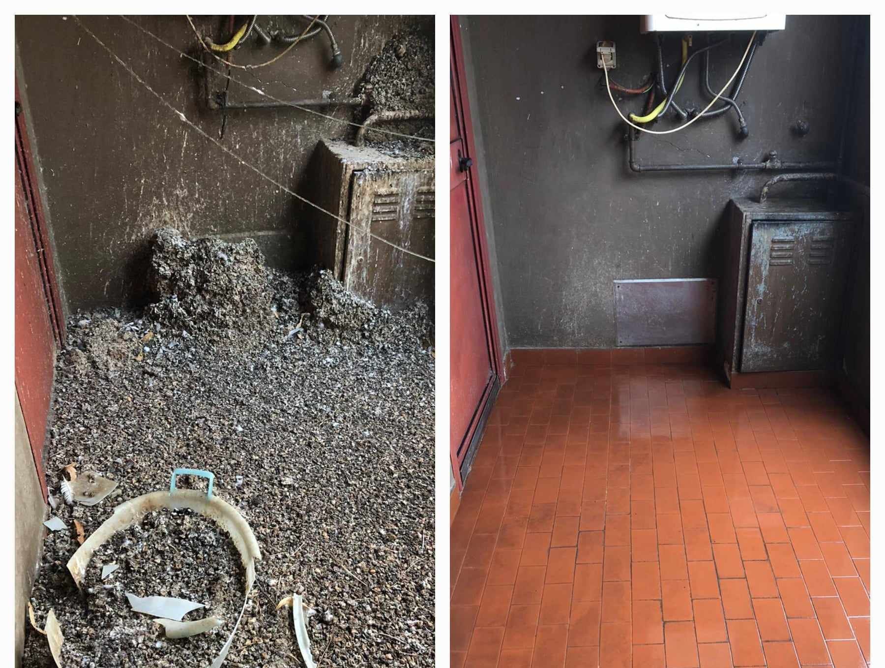 pulizie professionali guano piccioni