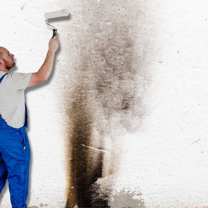 imbiancatura post incendio roma