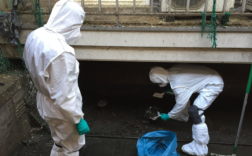 pulizie balconi da cacca piccione