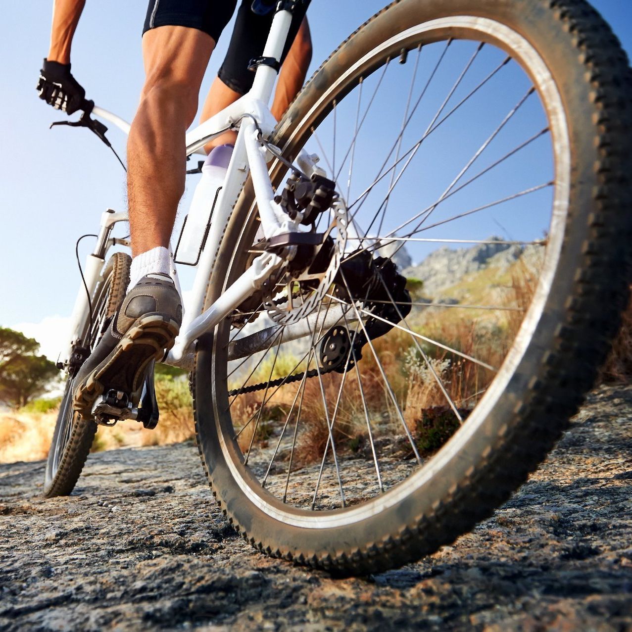 MTB-Rennen MTB-Rennen