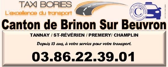 Taxi Bories-Logo