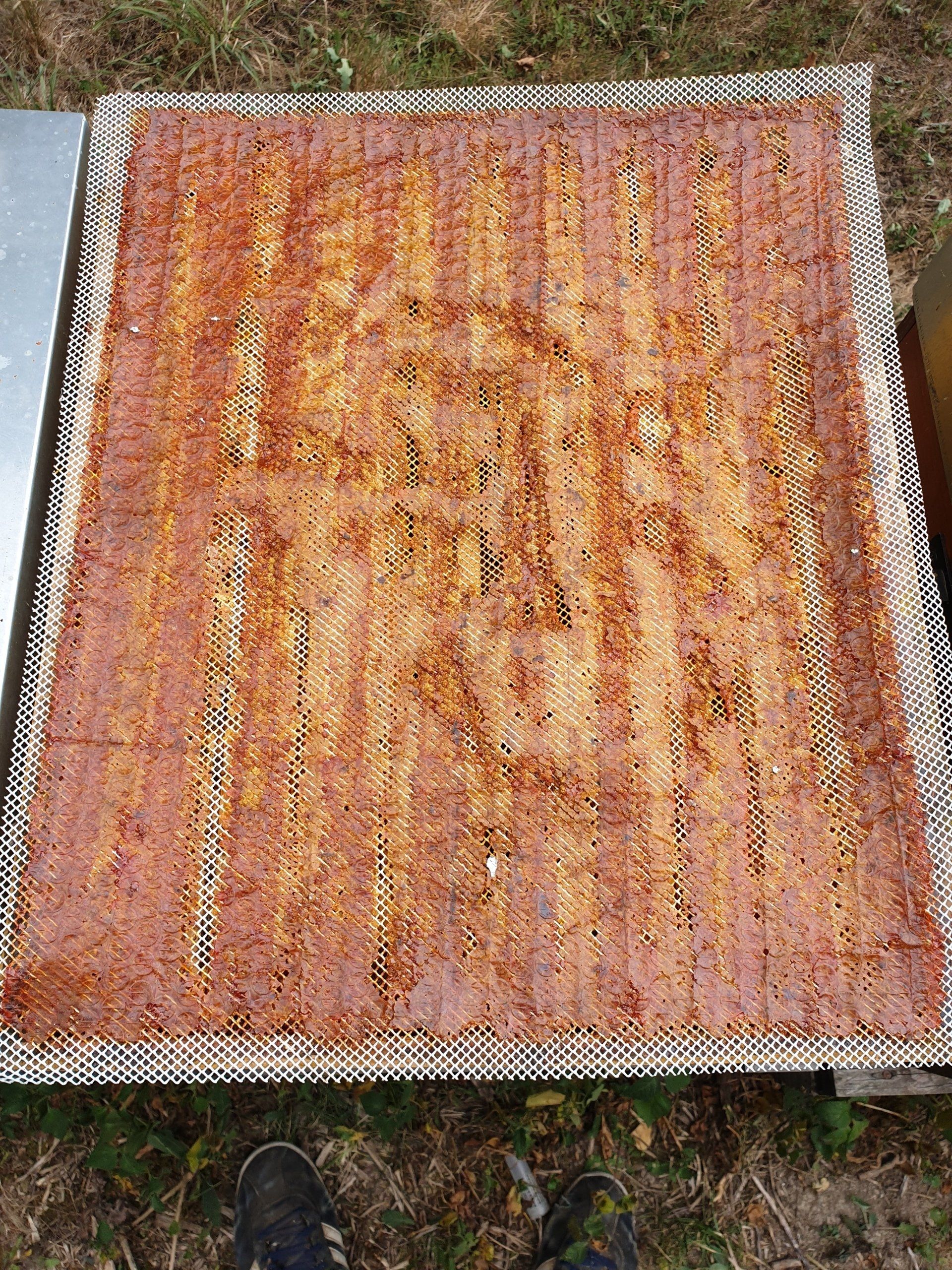 Propolis de Grille Propolis de Grille